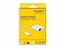 Delock Netzwerk-Adapter 65402 USB-C - RJ45 mit PowerDelivery