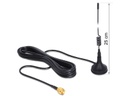 Delock GSM-Antenne SMA, 0.8-2.1GHz, 25cm  3dBi, 2m Kabel