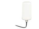 Delock WLAN-Antenne RP-SMA, Dualband für Auto/Dach, 3m