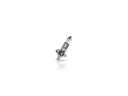 Philips Automotive H1 White Vision PKW