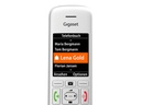 Gigaset Mobilteil E390 HX CAT-iq