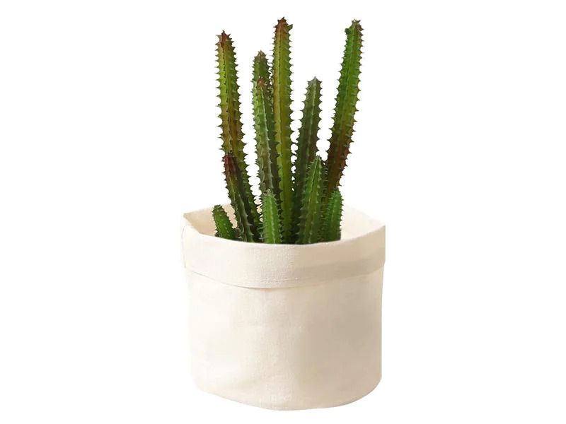 Esmée Aufbewahrungsbox Beige