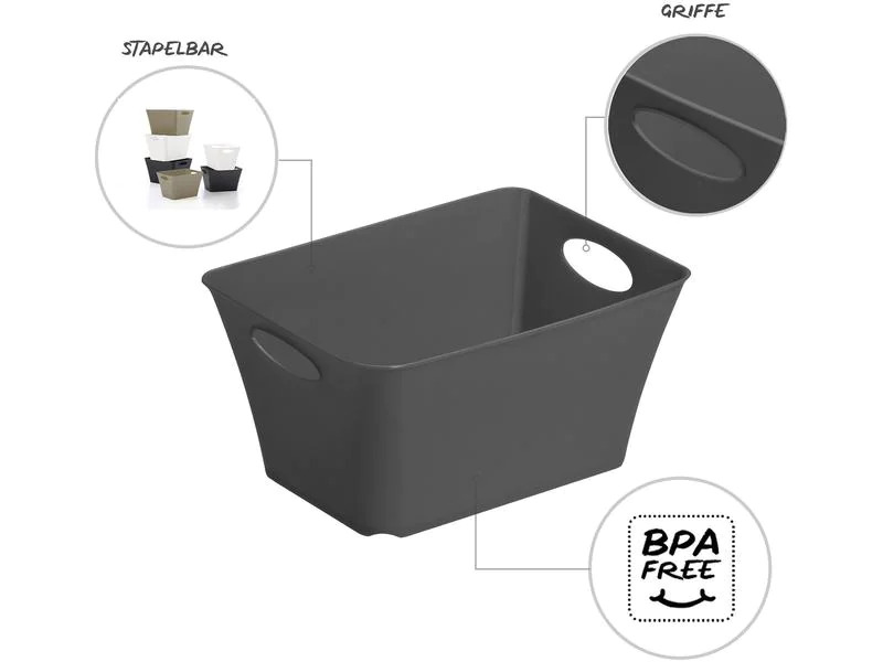 Rotho Aufbewahrungsbox Living Box 2 l Anthrazit