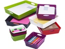 Rotho Aufbewahrungsbox Living Box 2 l Anthrazit