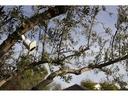 Arlo Pro 3 Flutlichtkamera FB1001 Weiss
