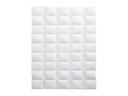 Billerbeck Duvet Climabalance Light Daunen, 160 x 210 cm