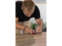 d-c-fix Designfolie Sonoma Eiche