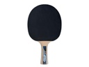 DONIC Schildkröt Tischtennisschläger Legends 1000