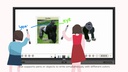 BenQ Public Display CS6501
