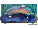 Panasonic Public Display TH-75SQE1W