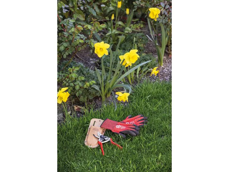 Felco Gartenhandschuh FELCO 701, XL
