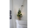 Star Trading Weihnachtsbaum Toppy 10 LED, 45 cm