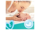 Pampers Feuchttücher Fresh Clean Aloe 15 x 80 Stk.