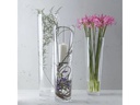 Leonardo Vase 50 cm Transparent