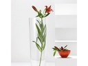 Leonardo Vase 50 cm Transparent