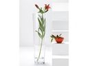 Leonardo Vase 70 cm Transparent