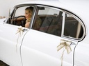 Partydeco Partyaccessoire Auto Dekoration Set 5-teilig, Braun/Weiss
