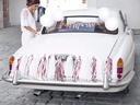Partydeco Partyaccessoire Auto Dekoration Set Rrosegold/Weiss