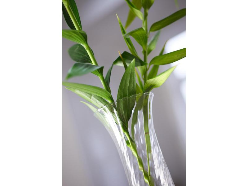 Leonardo Vase Ravenna 26.5 cm Transparent