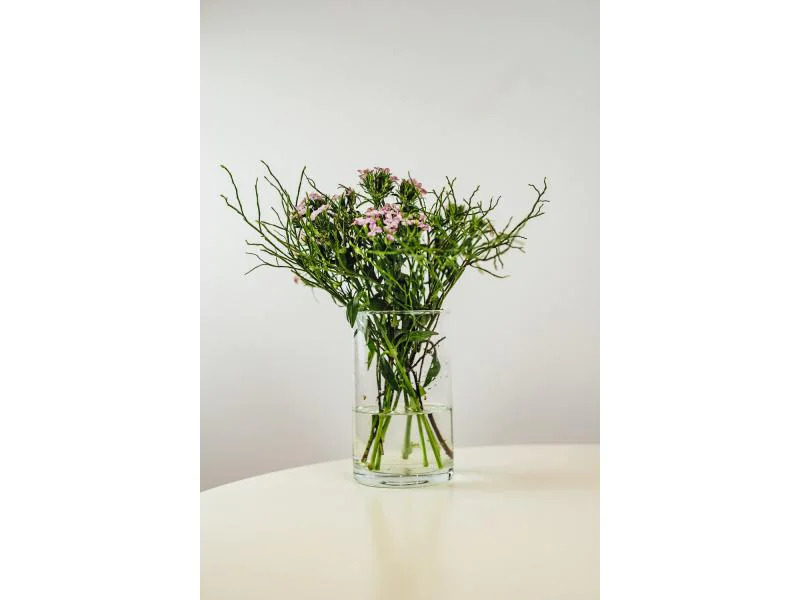 Montana Vase BASIC 20 cm Transparent