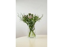 Montana Vase BASIC 20 cm Transparent