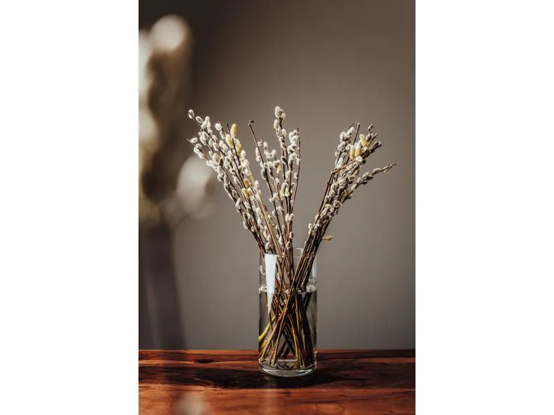 Montana Vase BASIC 26 cm Transparent