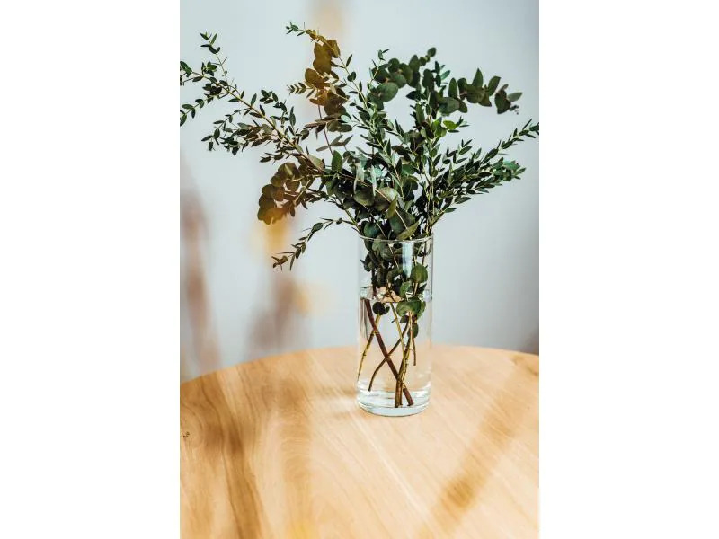 Montana Vase BASIC 26 cm Transparent