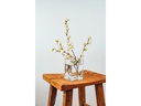 Montana Vase FLOWER 15 cm Transparent