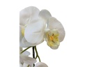 Botanic-Haus Kunstblume Phalenopsis  im Topf, 4 Rispen, Weiss