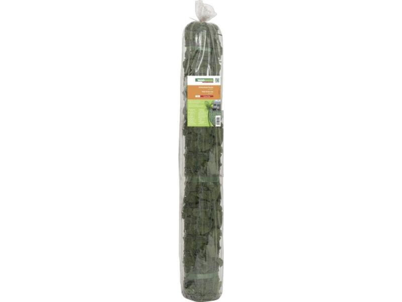 Windhager Sichtschutz Hecke Ahorn 1x3m grün