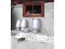 Windhager Insektenfänger Eco Fliegenfänger-Papier