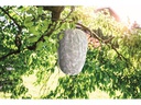 Windhager Wespenfalle