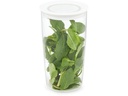 Rotho Vorratsglas 1.2 l, Transparent