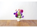 Click and Grow Saatgut Petunie