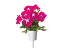 Click and Grow Saatgut Pinke Petunie 3er-Pack
