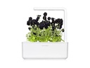Click and Grow Saatgut Schwarzes Stiefmütterchen