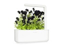 Click and Grow Saatgut Schwarzes Stiefmütterchen