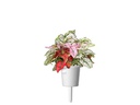 Click and Grow Saatgut Tupfenpflanze
