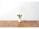 Click and Grow Saatgut Chili