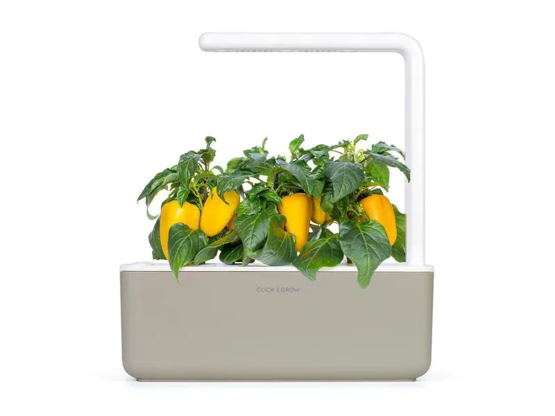 Click and Grow Saatgut Gelbe Peperoni