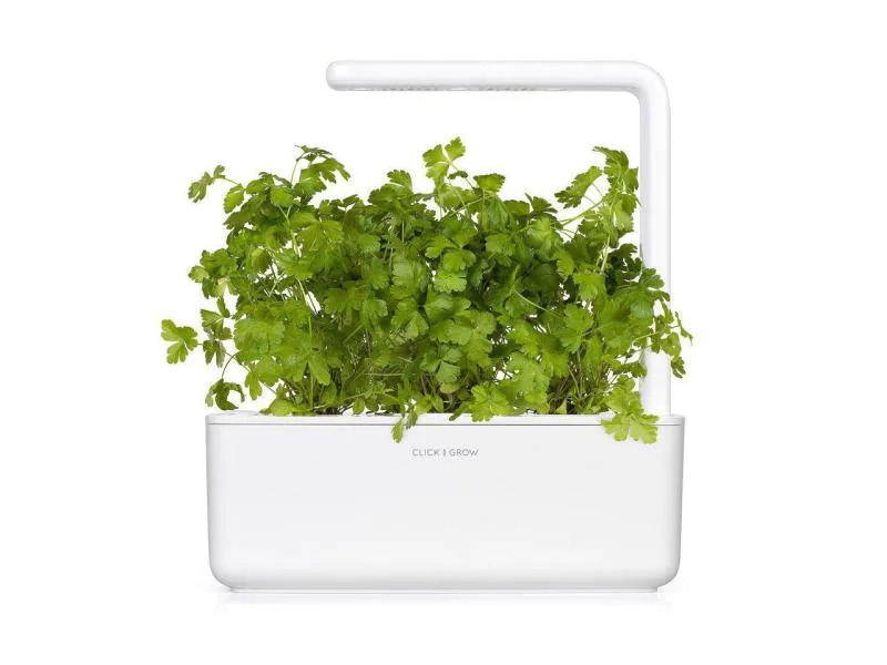 Click and Grow Saatgut Glatte Petersilie