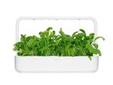 Click and Grow Saatgut Mibuna