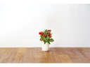 Click and Grow Saatgut Mini-Tomaten