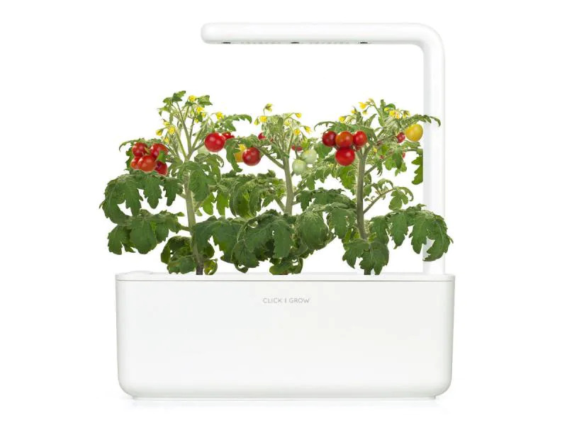 Click and Grow Saatgut Mini-Tomaten