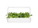 Click and Grow Saatgut Pak Choi