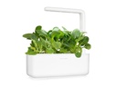 Click and Grow Saatgut Pak Choi