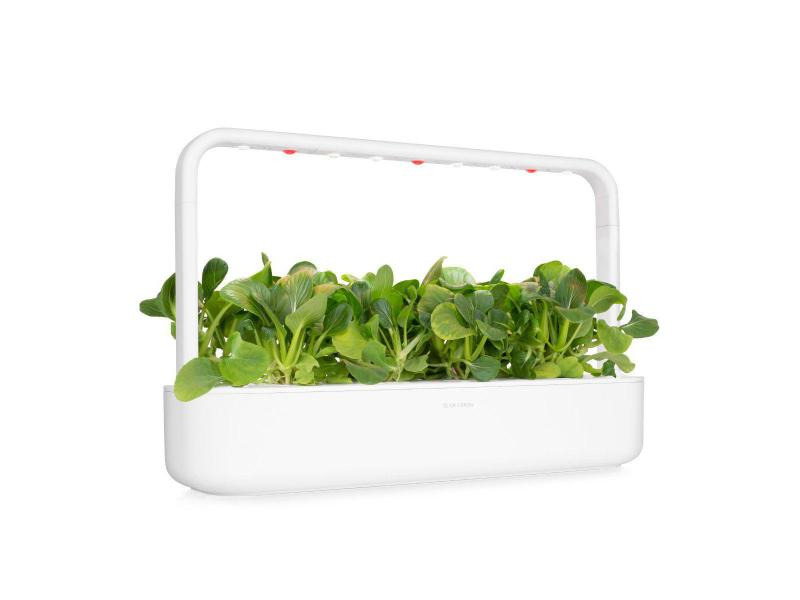 Click and Grow Saatgut Pak Choi
