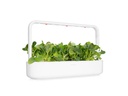 Click and Grow Saatgut Pak Choi