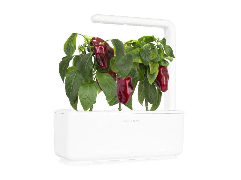 Click and Grow Saatgut Rote Peperoni