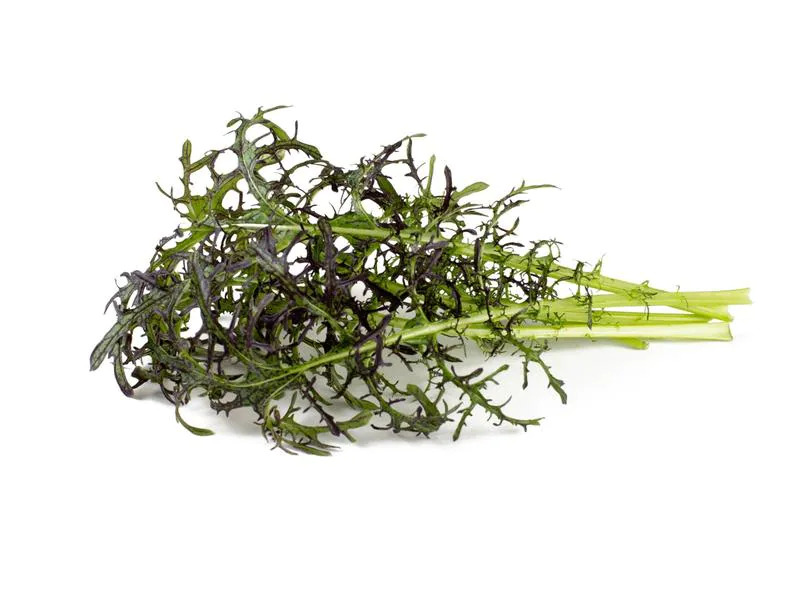 Click and Grow Saatgut Roter Rüschen-Senf, 3er-Pack